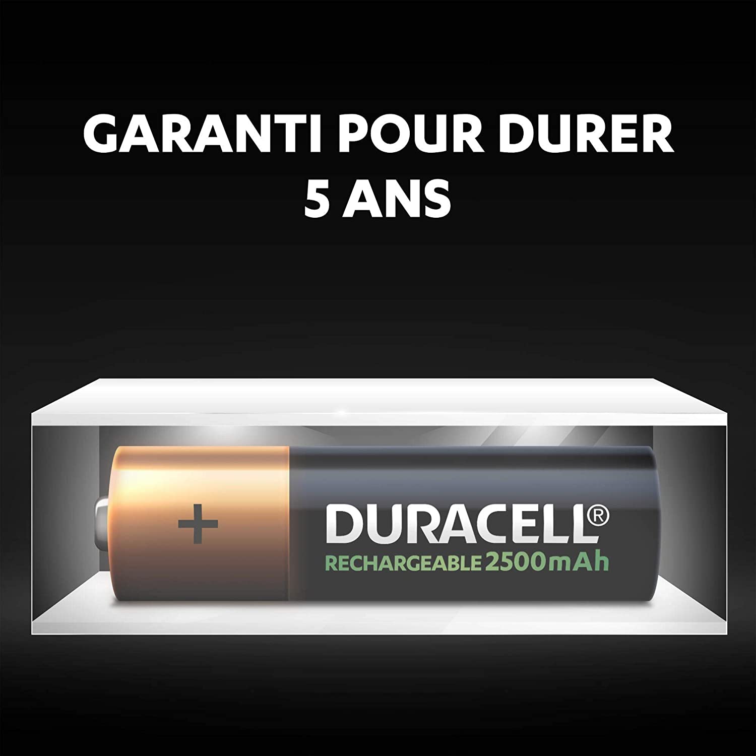 Piles rechargeables Duracell garanti pour durer minimum 5 ans