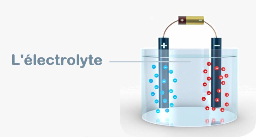 lectrolyte : qu'est-ce que c'est ? Comment remettre  niveau ? Watteo