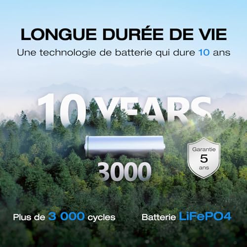 Longue durée de vie de la batterie LiFePO4 du générateur EF ECOFLOW RIVER 2