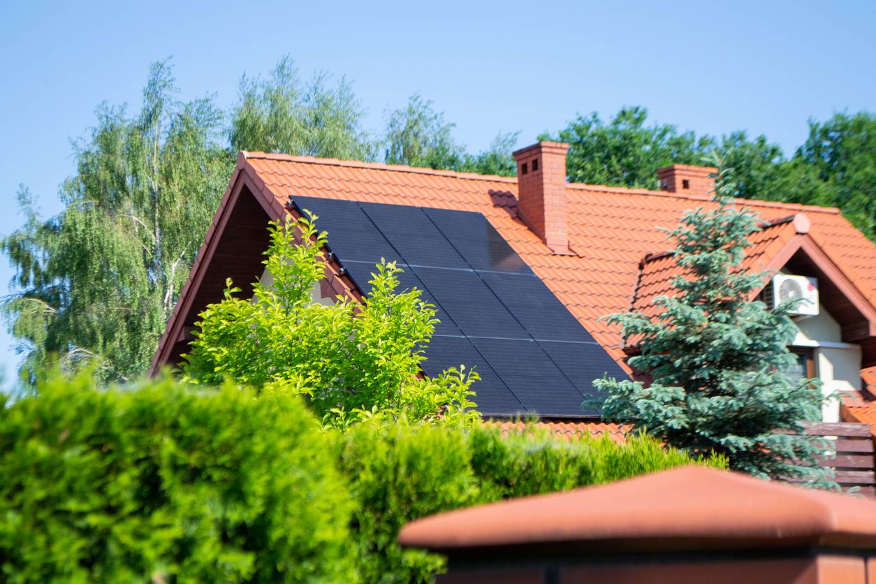 panneau solaire photovoltaïque, vendre électricité