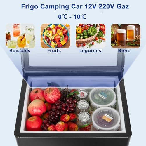 Intérieur frigo camping rempli fruits légumes boissons température 0-10°C