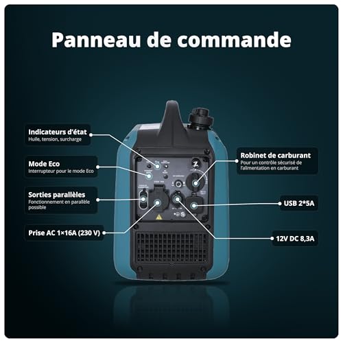 Panneau de commande générateur avec prises AC 230V USB 2x5A DC 12V indicateurs LED